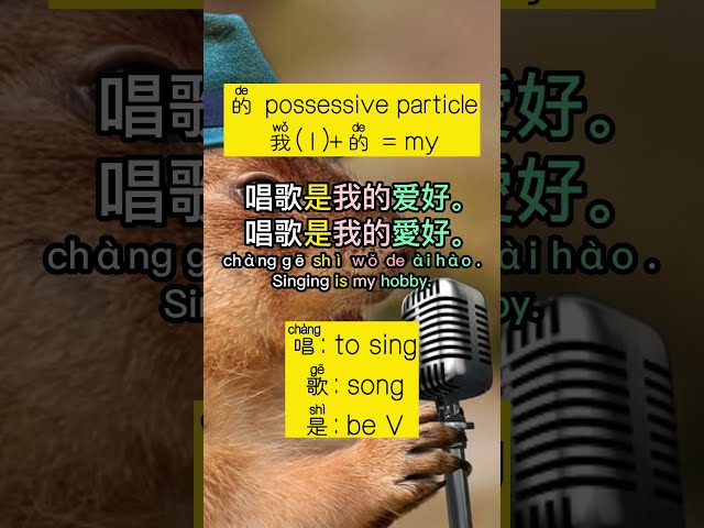 [1-min Basic Voc EP 2] HSK 1-2 爱好/愛好 (ài hào) hobby (理查老师直播课- HSK 1 初阶单词与语法)