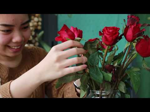 วีดีโอ: วิธีตรวจสอบความสดของดอกกุหลาบ