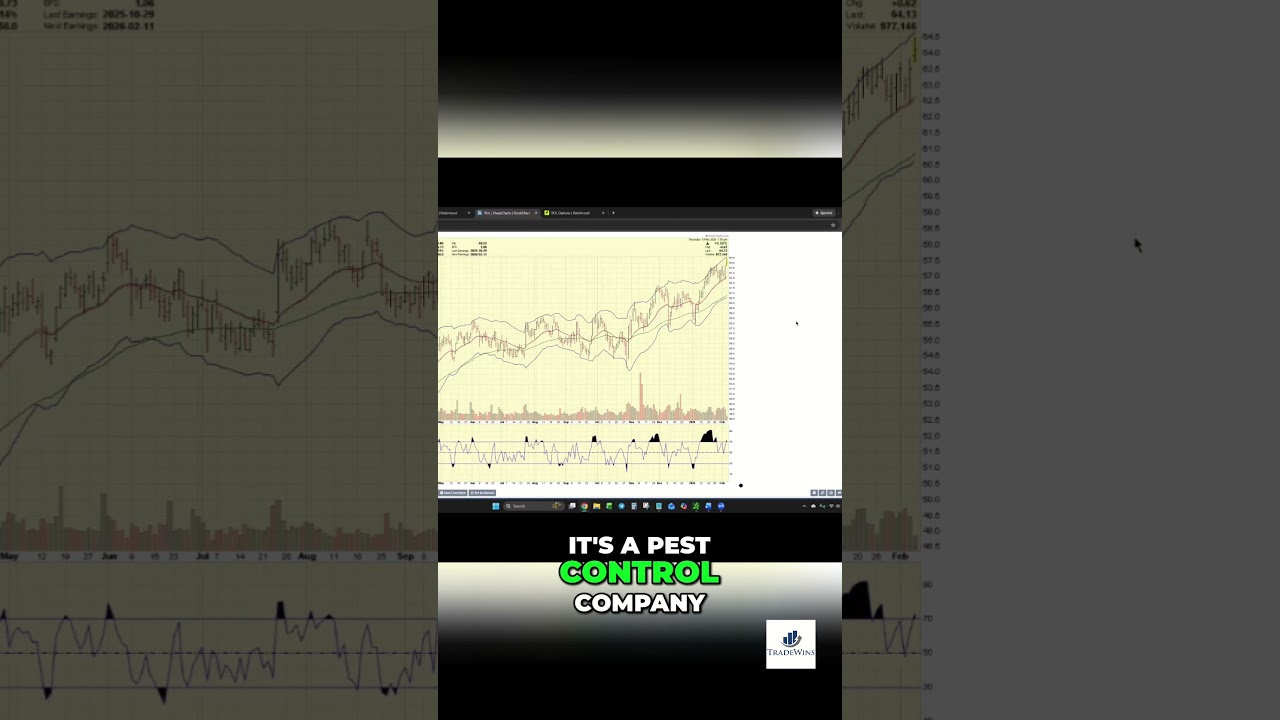 Не обращайте внимания на название — этот график невероятно бычий.