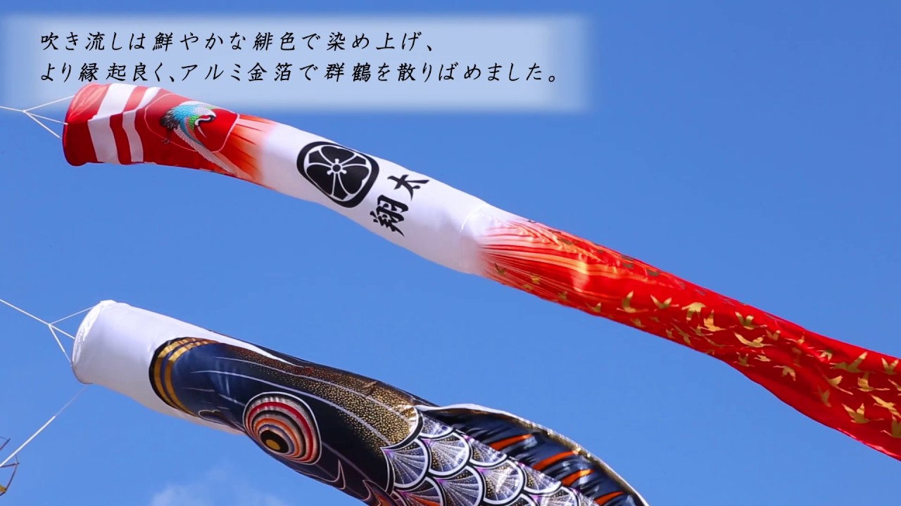 黄金の輝き鯉 太陽が安い 徳永鯉のぼり ～広島市の人形問屋十二段屋