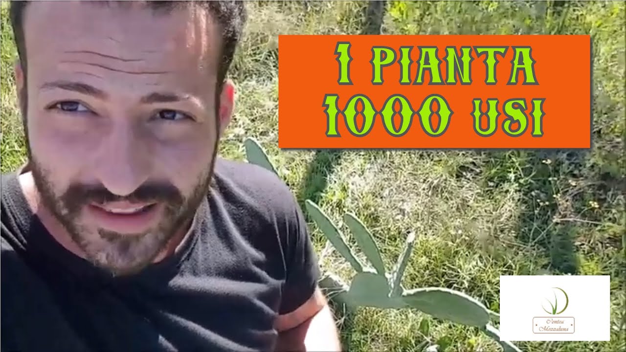 Come usare il fico d'India