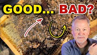 Beekeeping: Some Beekeepers Would Misread This Hive… Would You?