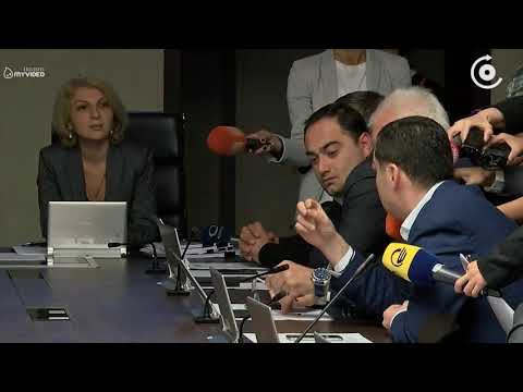 დაპირისპირება საკრებულოში   პუშკინის სკვერთან არსებული მიწის ნაკვეთის საკითხის განხილვას  ხმაური მოჰ