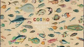Cosmo Sheldrake - Wriggle (Instrumental)