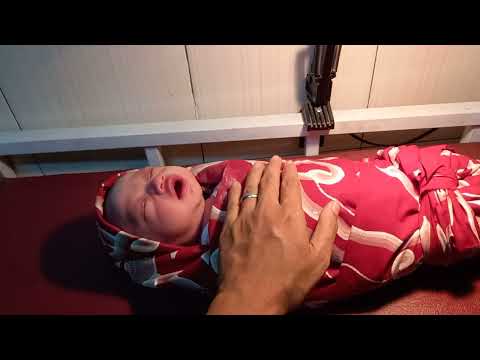 Newborn Baby Crying | Bayi baru lahir menangis | Bayi menangis lucu gemes | Baby crying #baby