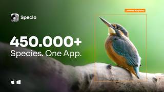 Meet Specio | Your Wildlife Identification App screenshot 3