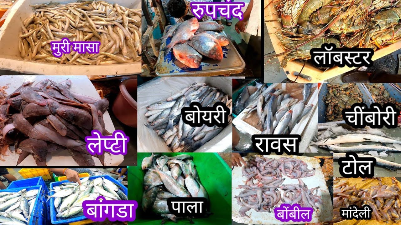 छत्रपती शिवाजी महाराज फिश मार्केट मुंबई Chhatrapati Shivaji Maharaj