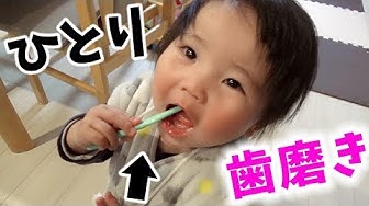 赤ちゃんの歯磨き Youtube