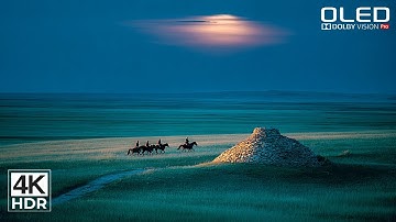 UNBELIEVABLE 8K HDR Nature Video | Dolby Vision 120fps