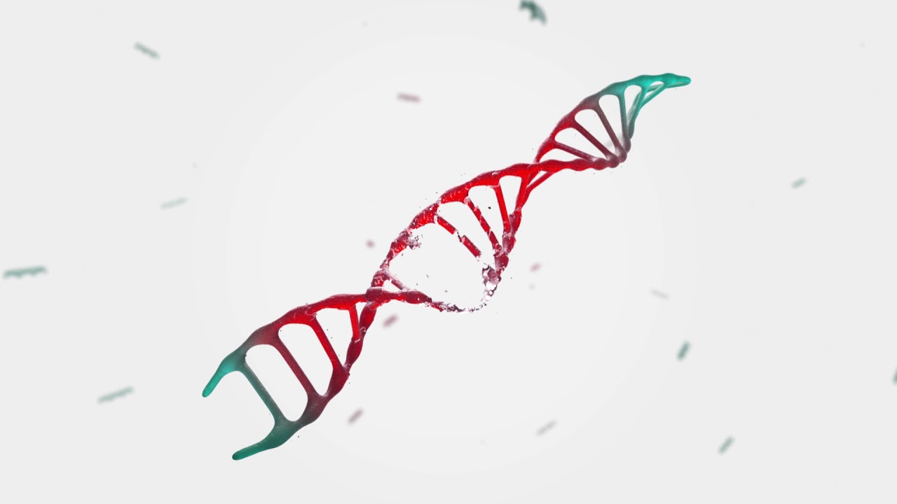 Procan -  Children's Medical Research Institute 3D Animation