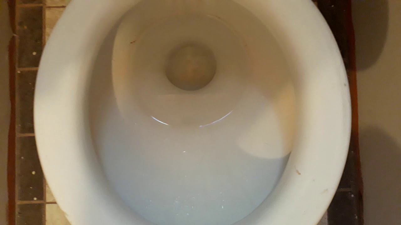 10.379 Toilet Water Yellow 8D YouTube