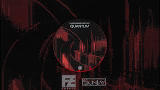 Martin Garrix U0026 Brooks Vs Nr U0026 Avicii  Quantum Vs I Could Be The One fuerte U0026 Sunjay Mashup