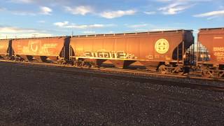 Crying Time - Number 9 Train