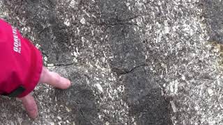 Tungsten ore veins cutting granite at Cligga Head