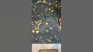 How to make Herbarium BSc. 3rd Sem Botany practical #botany #bsc #3rdsemexam #exam #tdcollege #jncu