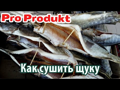 Как солить щуку в домашних условиях для сушки