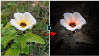 lr flowers Photo editing || lightroom black tone photo editing || lr photo editing 2022 new tricks screenshot 3