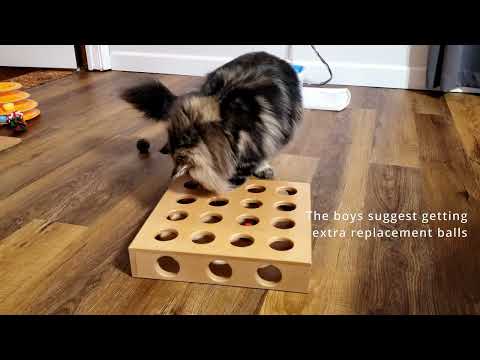 Video: Video: DIY Figur Pet Pet Treat Jars