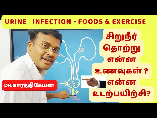 urinary infection in tamil - foods 🍏🥗  exercises 🚴‍♀️ home remedies - dr Karthikeyan class=