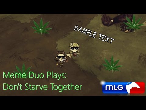 the-meme-duo-plays:-don't-starve-*social-experiment*-*gone-wrong*-*gong-sexual*-*in-the-hood*