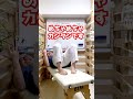 もうすぐ47歳でも衰えない気力・体力の作り方!#shorts