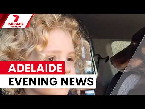 Gus Lamont case continues; Aus's first deepfake pornography prosecution; Teenage stabbing | 7NEWS