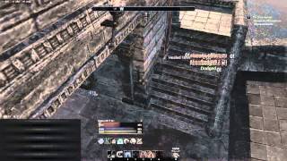 Celebrity Fall Damage is Back... Elder Scrolls Online Net Worth