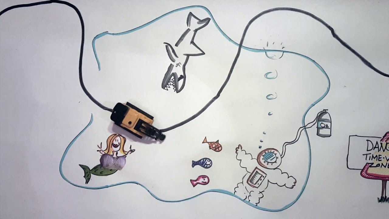 The Follow Ups - The Half of It (Official Video)