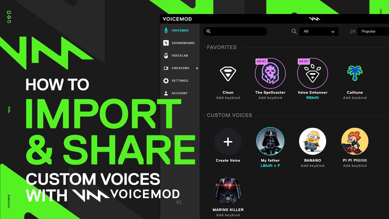 voicemod pro importing faeture