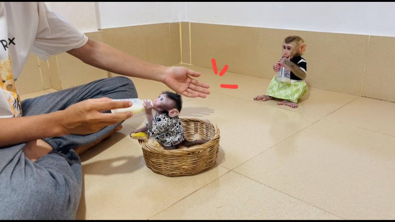 Precious jasmine upsettt with mom, she sit near the wall an..rriii mom