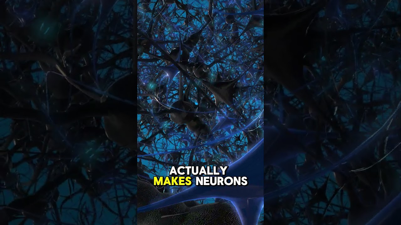 Lion’s Mane: The Mushroom That Grows Your Brain