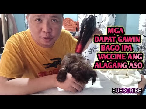 Video: Mga Bagay Na Dapat Gawin Bago Dalhin Ang Iyong Tuta Na Tuta