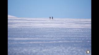 2025 Antarctic Ice Ultra — The Documentary