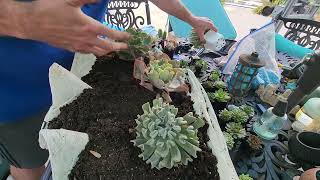 Making Huge Succulent Planters
Links to products shown in videos and some that I just like.
These are associate links, so I do make a small commission off of products purchased.
Creative co op Glass Cloche
https://amzn.to/2Gv91Qx
Gardening Supplies
GE LED 32 watt Grow Light PAR 38
https://amzn.to/2Z0XjDG
SANSI 24W LED Plant Light Bulb Full Spectrum LED Grow Light Plant Lights for Indoor Plants, E26 Grow Light Bulb for Hydroponics Greenhouse Houseplants Vegetable Tobacco, Sunlight White UV IR
https://amzn.to/3jCwkX0
J R Peters Inc (52064) Jacks Classic No.4 20-20-20 All Purpose Fertilizer
https://amzn.to/3500HCF
J R Peters Inc 52624 Jacks Classic No.1.5 20-6-22 Petunia Feed
https://amzn.to/3hXpuuB
VivaColor Waterproof RGB Color Changing Landscape Lights Bluetooth App Control, 48 Watts Total, Extra Long Cord, Built-in Timer, Programming, Music Sync, Mesh Capable(Complete 4 Light Set)
https://amzn.to/2GVUDkE
Some of my Filming Equipment
Sony A7sii Camera
https://amzn.to/2Dq9dzk
Rhode Video Micro
https://amzn.to/2EMKB4L
Tripod
https://amzn.to/2DrGnyC
Lighting
https://amzn.to/3hYm4I3
Lens Ziess 16-35 f2.8
https://amzn.to/3bo94Jg
Lens Zeiss 24-70mm
https://amzn.to/2QPTzAs
Lens Sigma DG Art 20mm Prime Fixed F1.4
https://amzn.to/2QPeF1Q
Dji Osmo Mobile 2 Gimbal
https://amzn.to/2EVSVz4
Smartphone Holder For Tripod
https://amzn.to/31Ucv7r
⬇️⭐⭐⭐⬇️Social Media⬇️⭐⭐⭐⬇️
🍃Stay up to date with daily life and activities through messaging and pictures and dont forget to subscribe and hit the notification bell!
INSTAGRAM- @tropicalplantparty
TWITTER- @tropicalplantJc
SnapChat- Tropplantparty Making Huge Succulent Planters