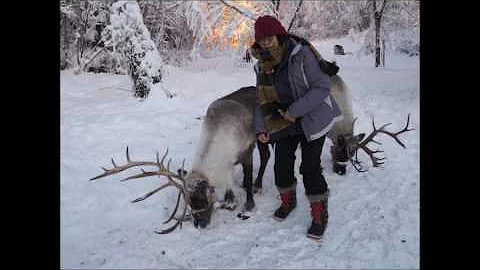2016 Dec Fairbanks Trip