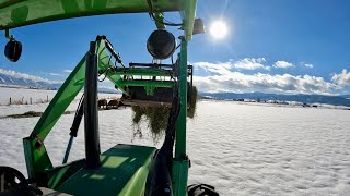 Trying Something New This Year Feeding Hay to Cows by Luthi Ranch 2,138 views 5 months ago 12 minutes, 15 seconds