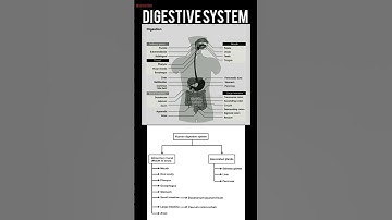 DIGESTIVE SYSTEM| HUMAN BODY |SHORT NOTES|10TH|11TH|12TH|MEDICAL STUDENTS|NEET|NCERT|MEDICAL CODING|