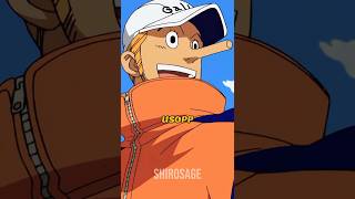 Who Has the Longest Nose in One Piece Ranking