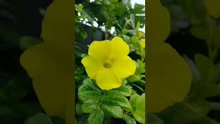 Celebrity Mari Bercerita Wealth