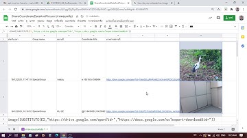 ฟังก์ชันแสดงภาพใน Google sheet จากลิงค์ URL ใน Google drive
