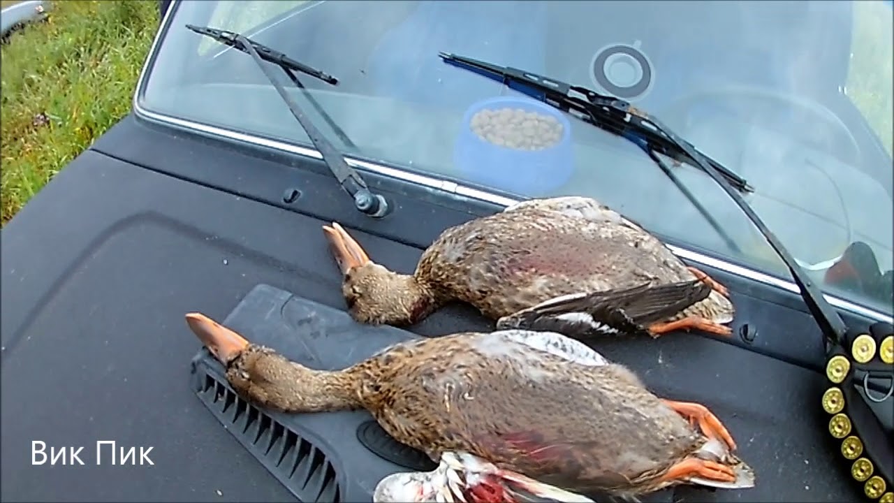 Открытие охоты 2018!!!!