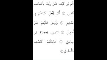 سورة الفيل القارئ ياسر الدوسري