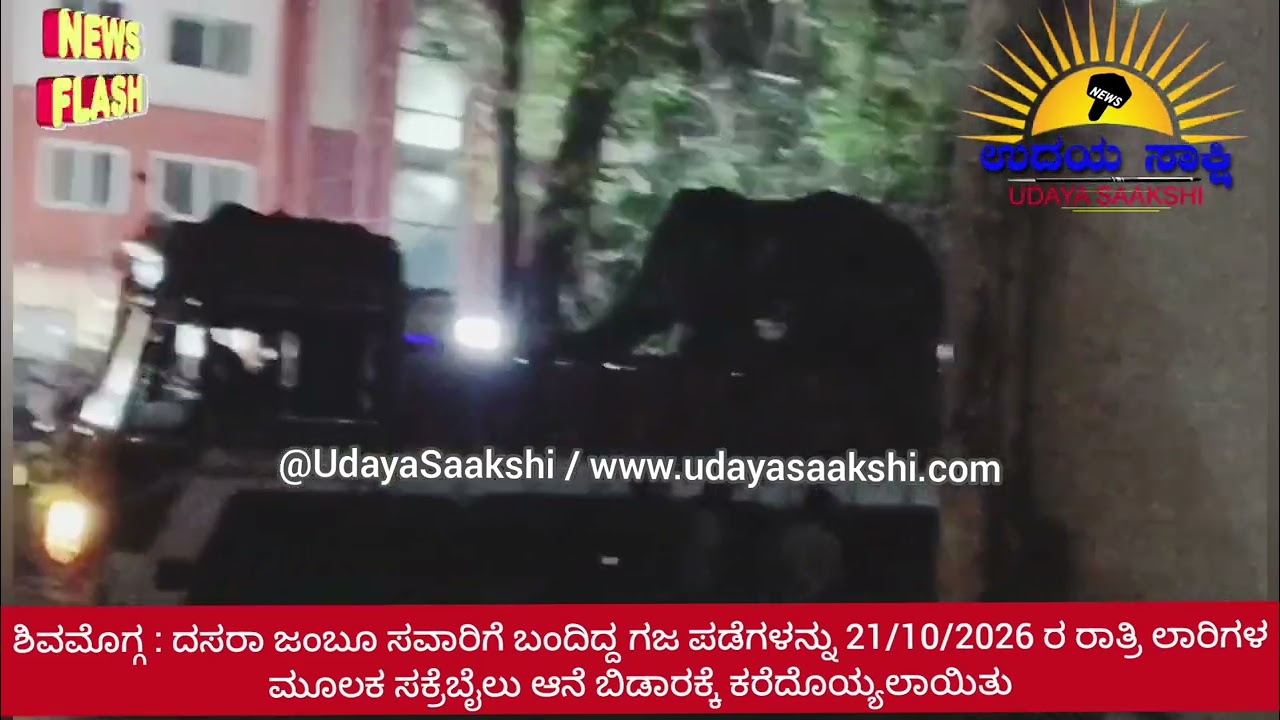 shimoga news | ಶಿವಮೊಗ್ಗ ದಸರಾ | ಸಕ್ರೆಬೈಲು ಆನೆ ಬಿಡಾರಕ್ಕೆ ಮರಳಿದ ಸಾಗರ್, ಸೋಮಣ್ಣ, ಬಹದ್ದೂರ್ ಆನೆಗಳು!