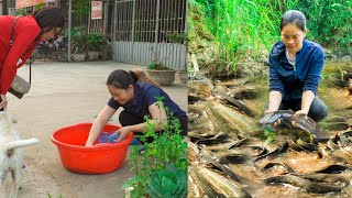 Catching wild fish to sell at the market, earning money to buy land to build a permanent house