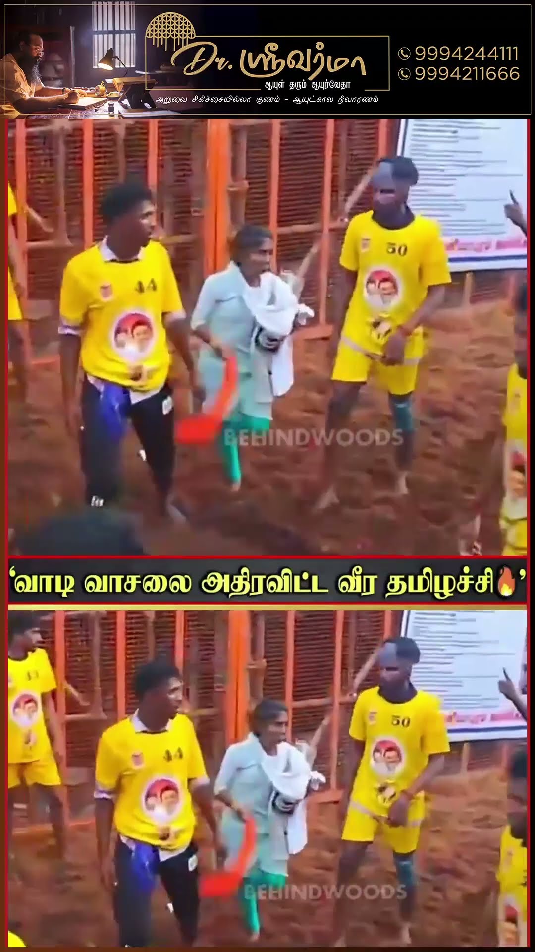 வீரர்களை கதறவிட்ட  வீர தமிழச்சியின் காளை ? 'முடிஞ்சா இப்போ தொட்டு பாரு'