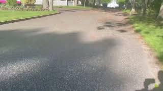 The Soft Serve Ice Cream Truck while I’m riding my bike and seeing it on a few different streets screenshot 5