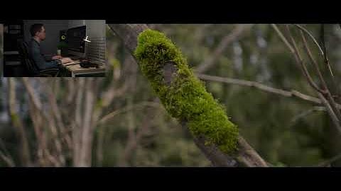 Color Grading R3D RED RAW Footage | Chill & Grade