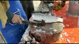 Preparatory Operations Of Fish | FST