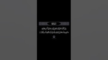 الشيخ ياسر الدوسري سورة نوح
