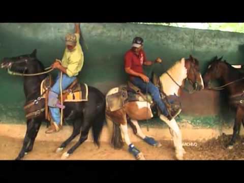 Video: Caballo Cojo: Como Era